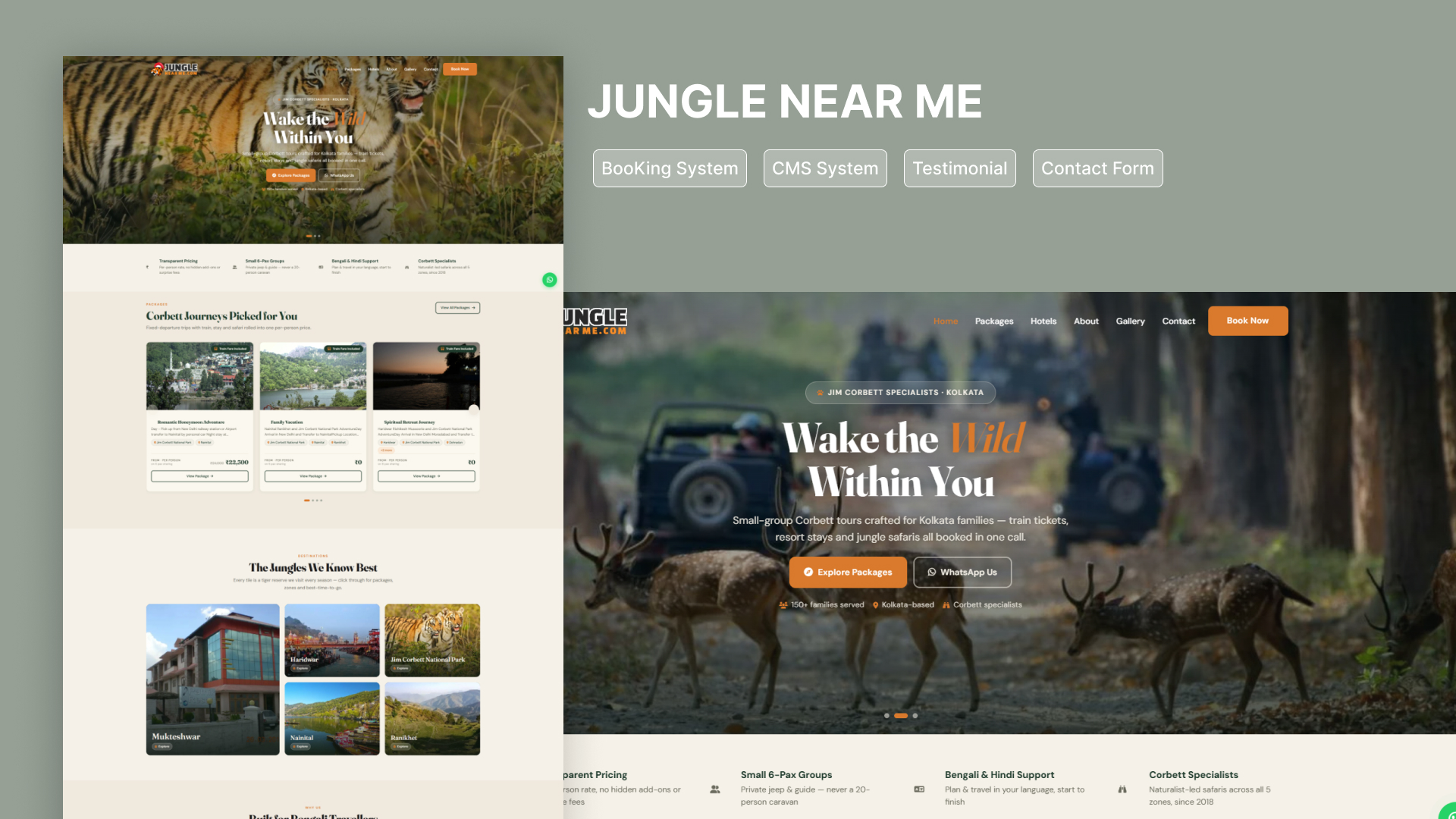 Jungle Near Me — Jim Corbett tour and wildlife tourism website home page