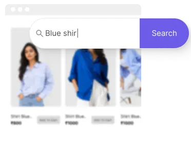 Fast product search interface