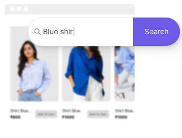 Fast product search interface